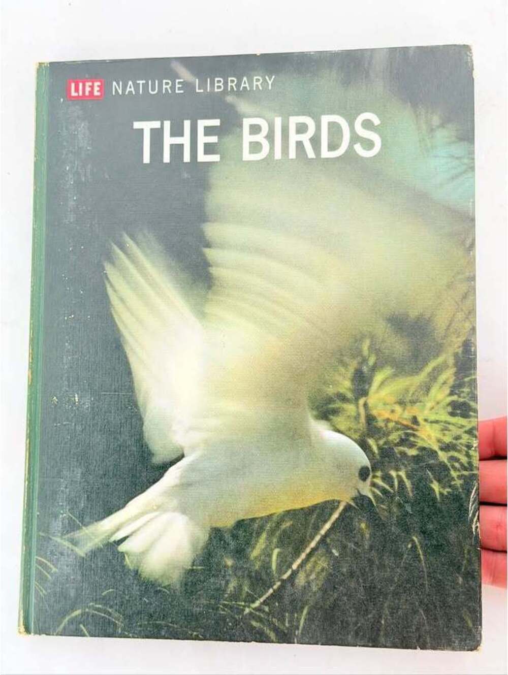 Life Nature Library - The Birds by Roger Tory Peterson (1963)